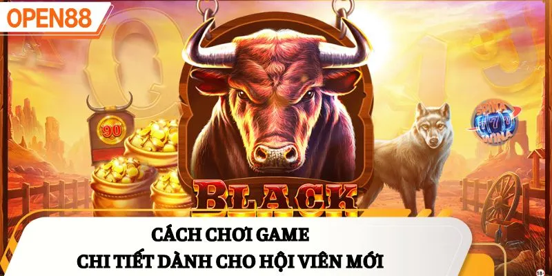 Cách chơi game chi tiết dành cho hội viên mới